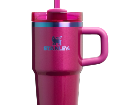 Stanley The Valentine’s Day Quencher Flowstate Tumbler with Handle 20oz  *pre venta* Fashion